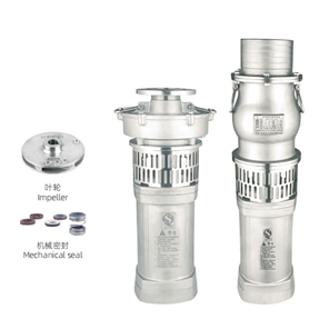 Oil-Immersed Submersible Pump